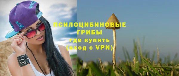 MESCALINE Аркадак