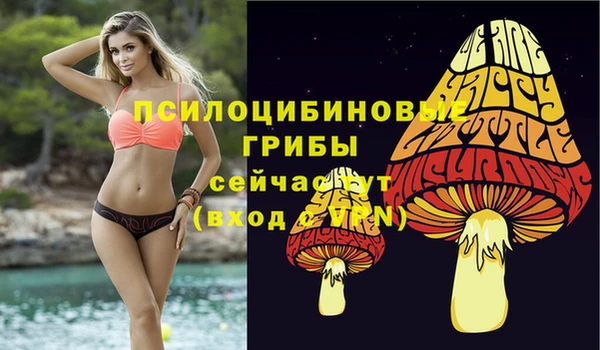 MESCALINE Аркадак